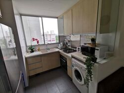 The Parc Condominium (D5), Condominium #474683841